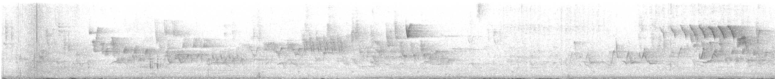 Cerulean Warbler - ML238382761