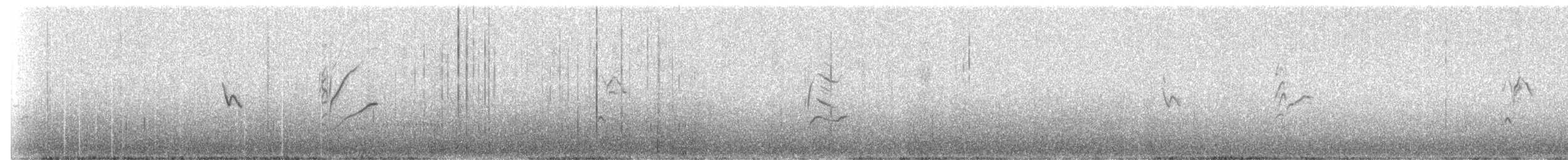 Schwarzzeisig - ML238385