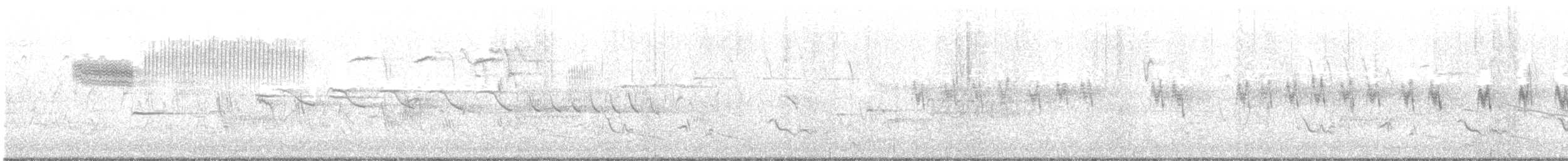 Blue-winged Warbler - ML238388471