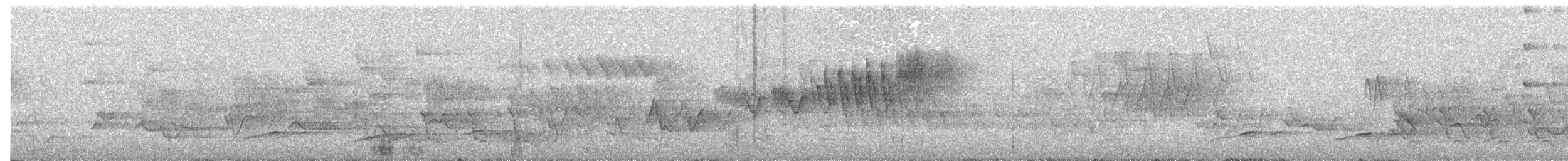 Cerulean Warbler - ML238405221