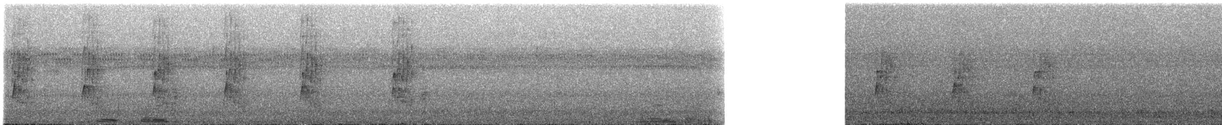 Kara Sırtlı Todi Sinekkapanı - ML238419