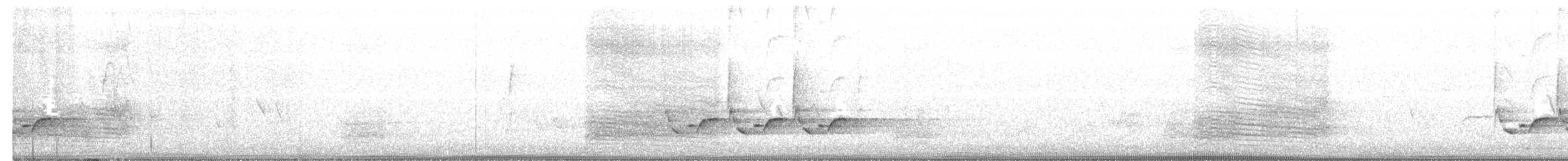 Carolina Wren - ML238437081