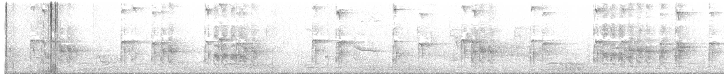 Hairy Woodpecker - ML238471961