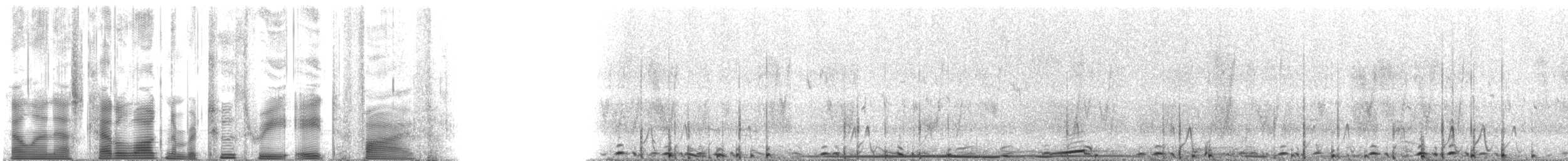 Greater Sage-Grouse - ML2385