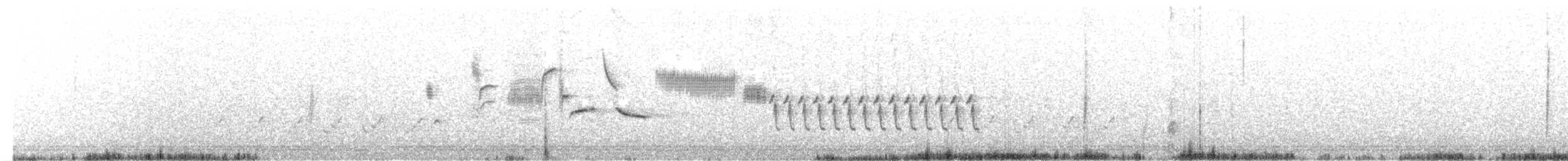 Troglodyte de Bewick - ML238505301