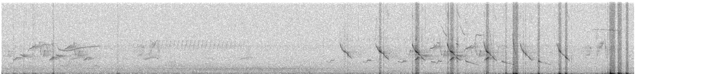 Alder Flycatcher - ML238517561