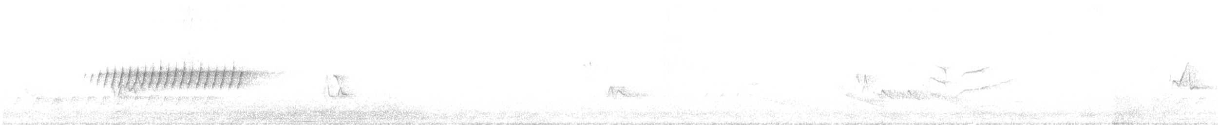 Çam Ötleğeni - ML238524191