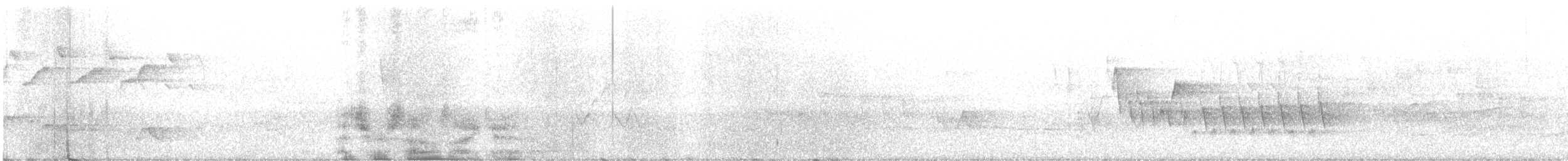 Northern House Wren - ML238574061