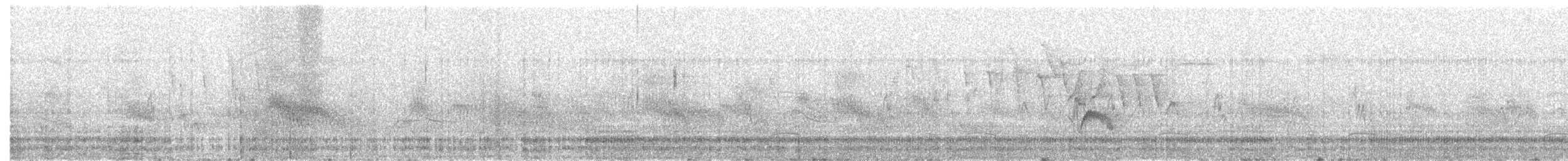 Least Flycatcher - ML238577111
