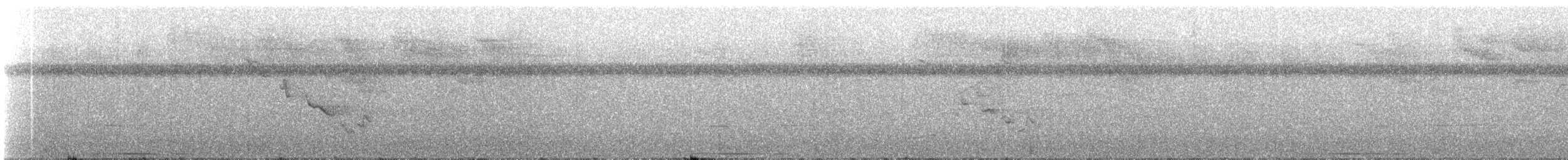 ウスイロシャコバト - ML238600