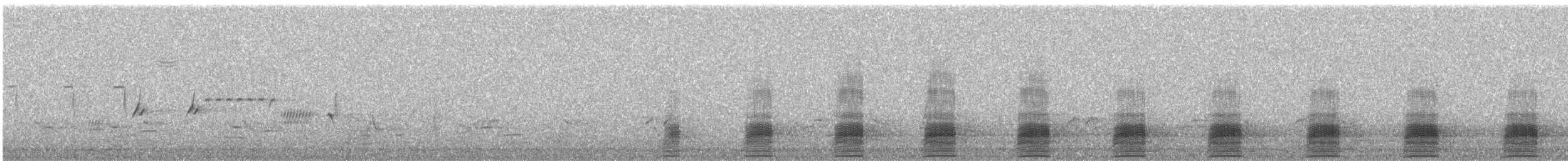 Stockente - ML238621681