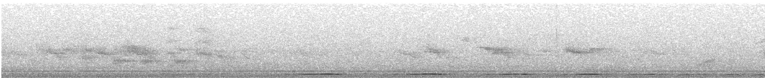 holub raiatejský - ML238636271
