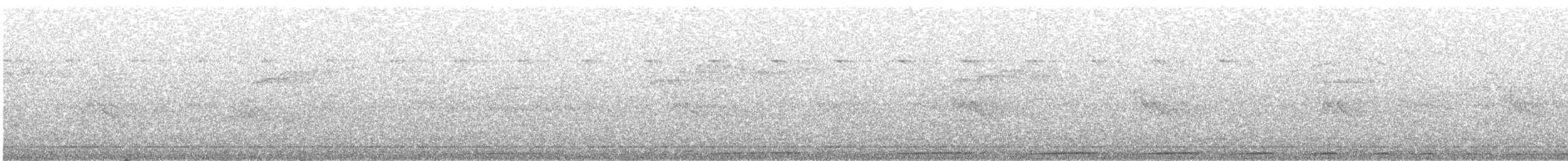 holub raiatejský - ML238650071