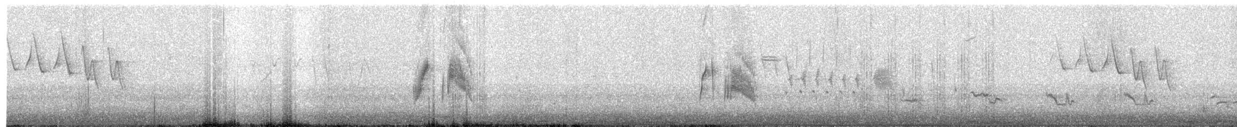 tyranovec vrbový - ML238677391