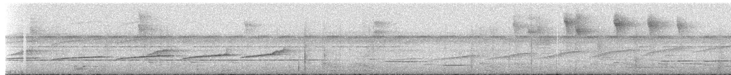 セウロコアリドリ（griseiventris） - ML238735