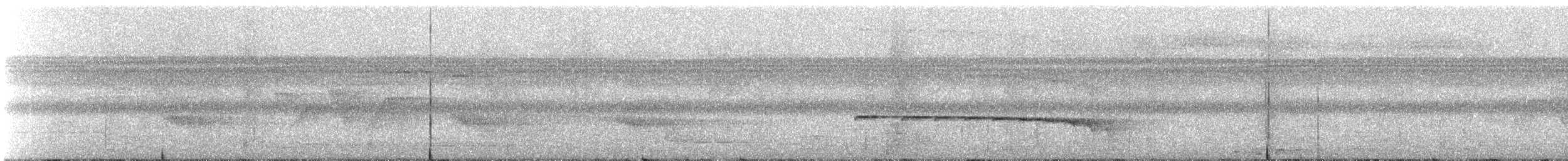 Kuzeyli Kestanerengi Karıncakuşu (hemimelaena) - ML238744
