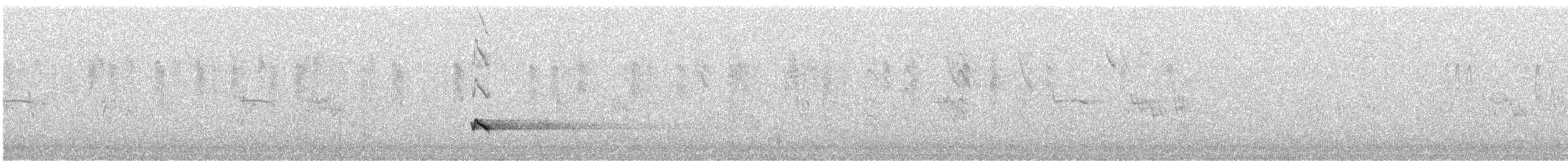 Siffleur gris - ML238744771