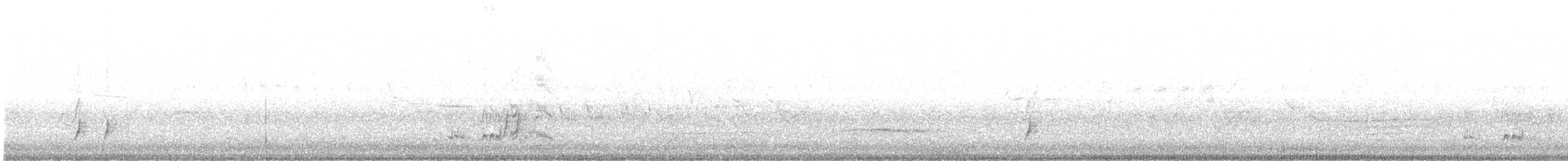 Brown-crested Flycatcher - ML238751021