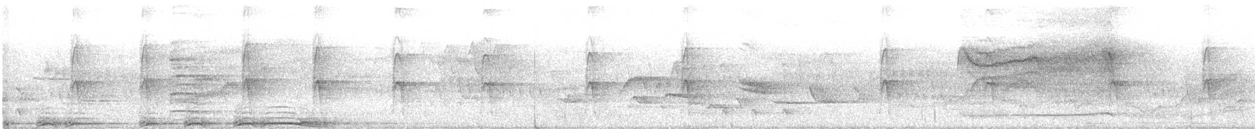 Barred Owl - ML238778151