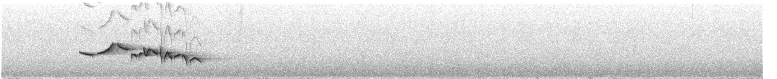 Тимелія-куцохвіст велика (підвид mutica) - ML238787341