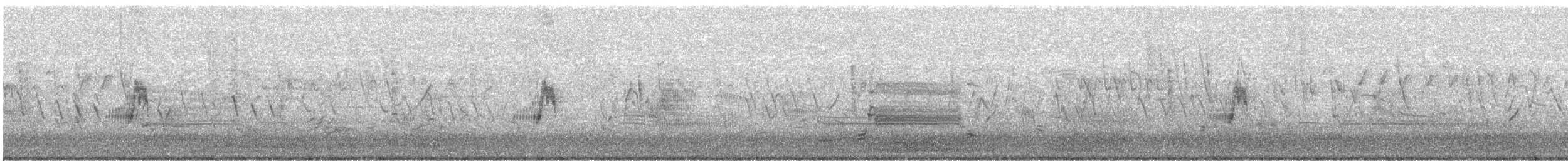 Moucherolle des saules - ML238798221