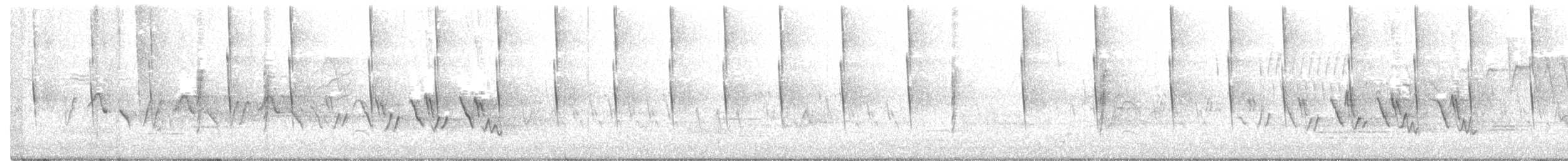 svartbrystparula - ML238815181