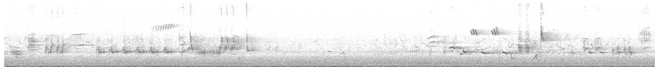 Great Reed Warbler - ML238820271