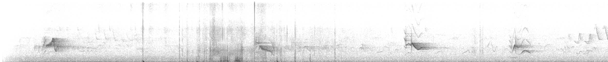 Plumbeous Vireo - ML238936301