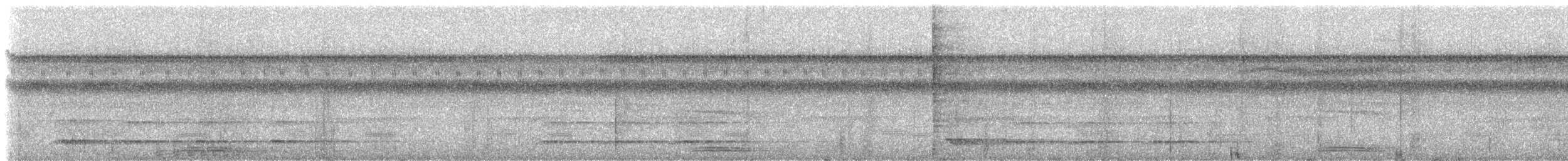 Broad-billed Motmot (Plain-tailed) - ML238954