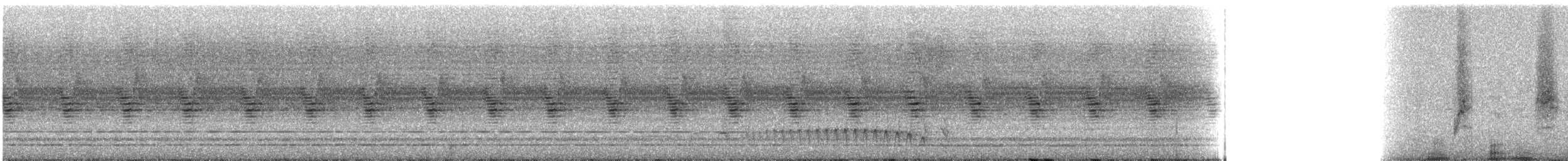 Weißbrauen-Ameisenfänger - ML238985