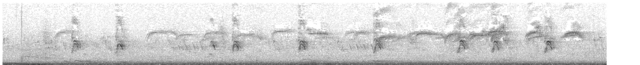 Rondone comune - ML239035891