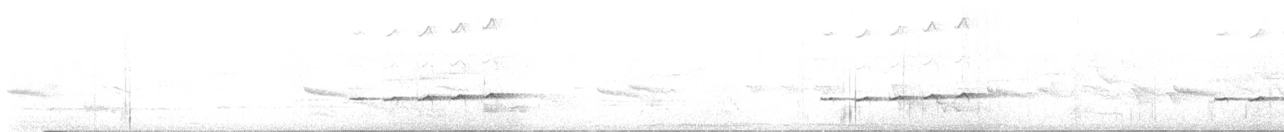 Asya Drongo Guguğu - ML239046571