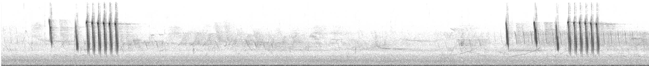Sedge Wren - ML239063831