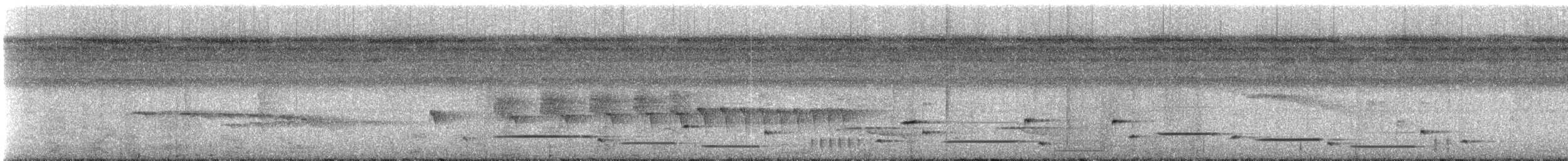 Musician Wren (Gray-eared) - ML239073