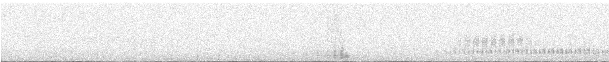 Cactus Wren - ML239077211