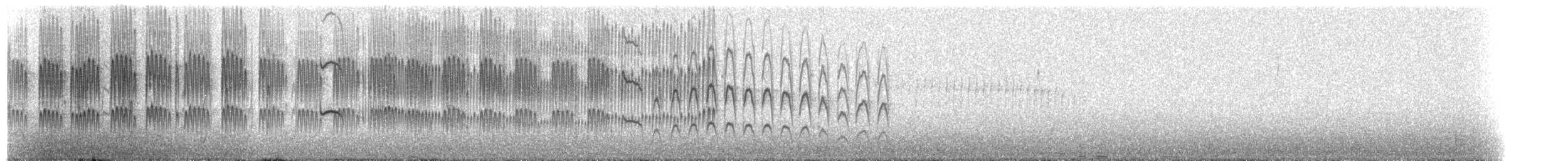 Graubrust-Tachurityrann - ML239081