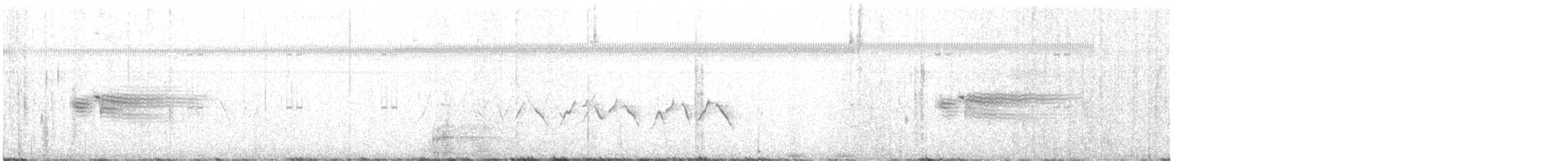 ハマヒメドリ（mirabilis） - ML239103401