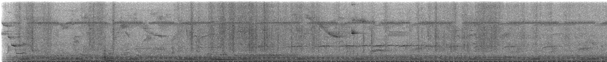 Horned Screamer - ML23915971