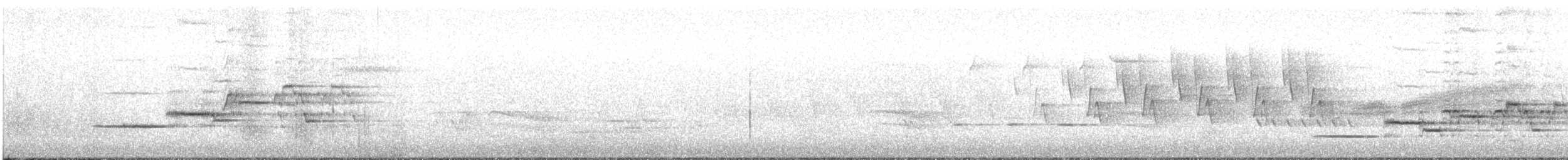 Hermit Thrush - ML239189311