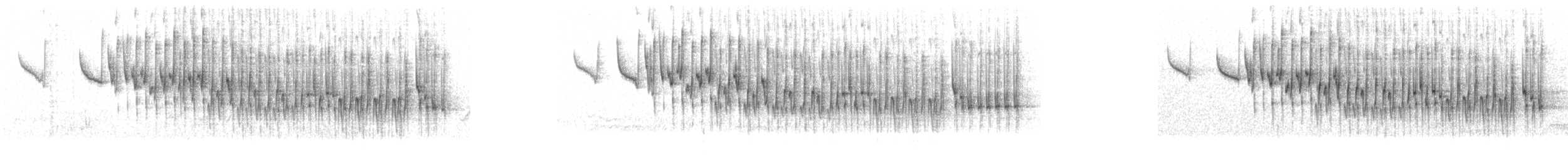 Purple-backed Fairywren - ML239192481