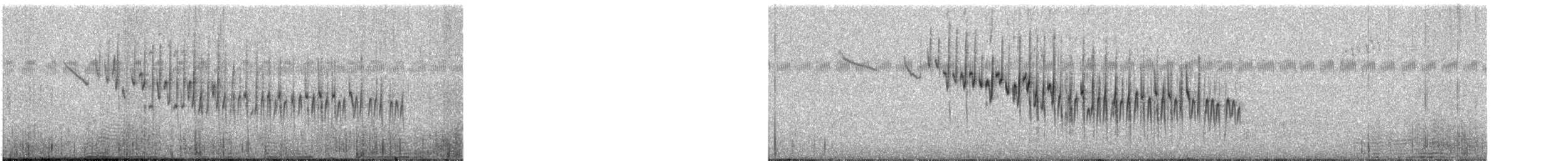 Purple-backed Fairywren - ML239192491