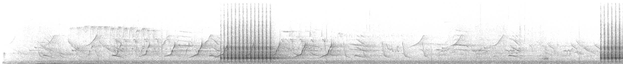 strakapoud osikový (ssp. pubescens/medianus) - ML239207