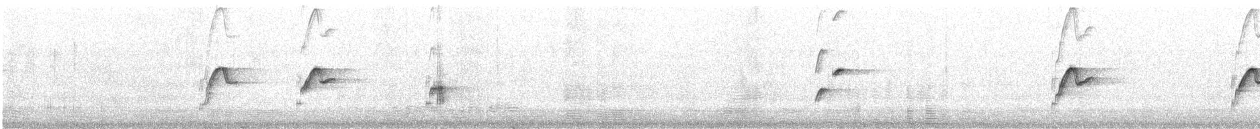 Batı Amerika Sinekkapanı (occidentalis/hellmayri) - ML239207881