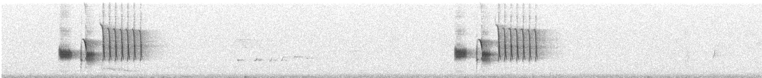 Тауї плямистий - ML239210161