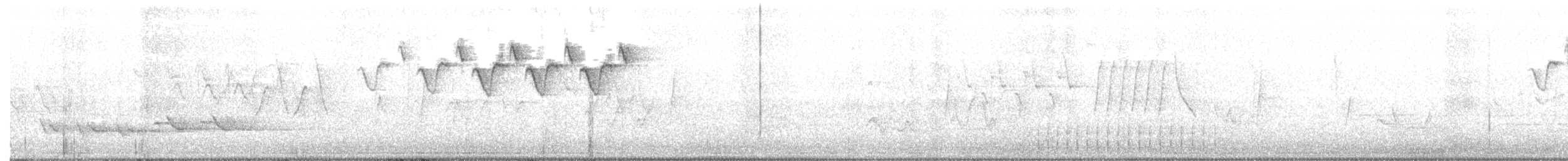 Black-and-white Warbler - ML239213681