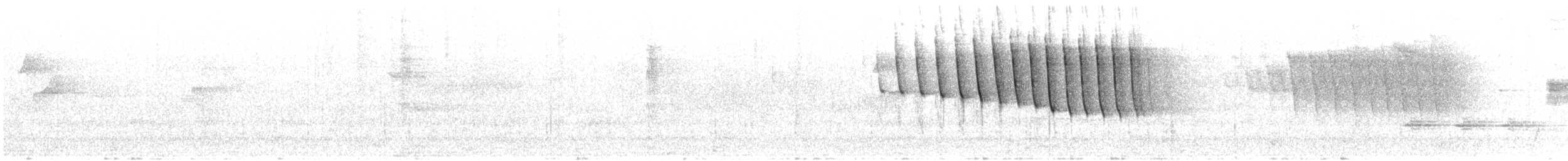 lesňáček čepičatý - ML239213851