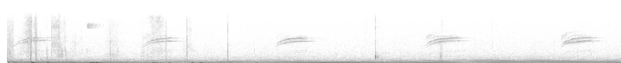 Дрозд-отшельник - ML239235831