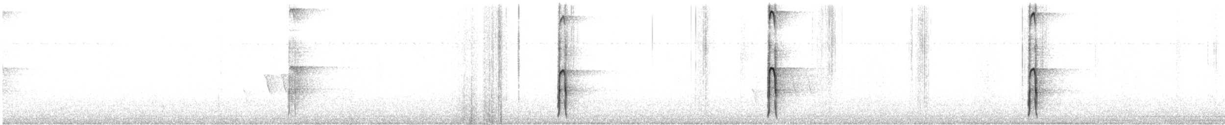 strakapoud americký [skupina villosus] - ML239253