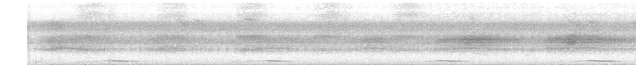 holub panamský - ML239256771