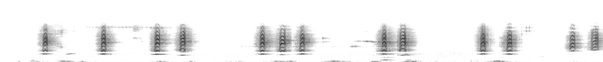 Grauschwalbenstar - ML239278411